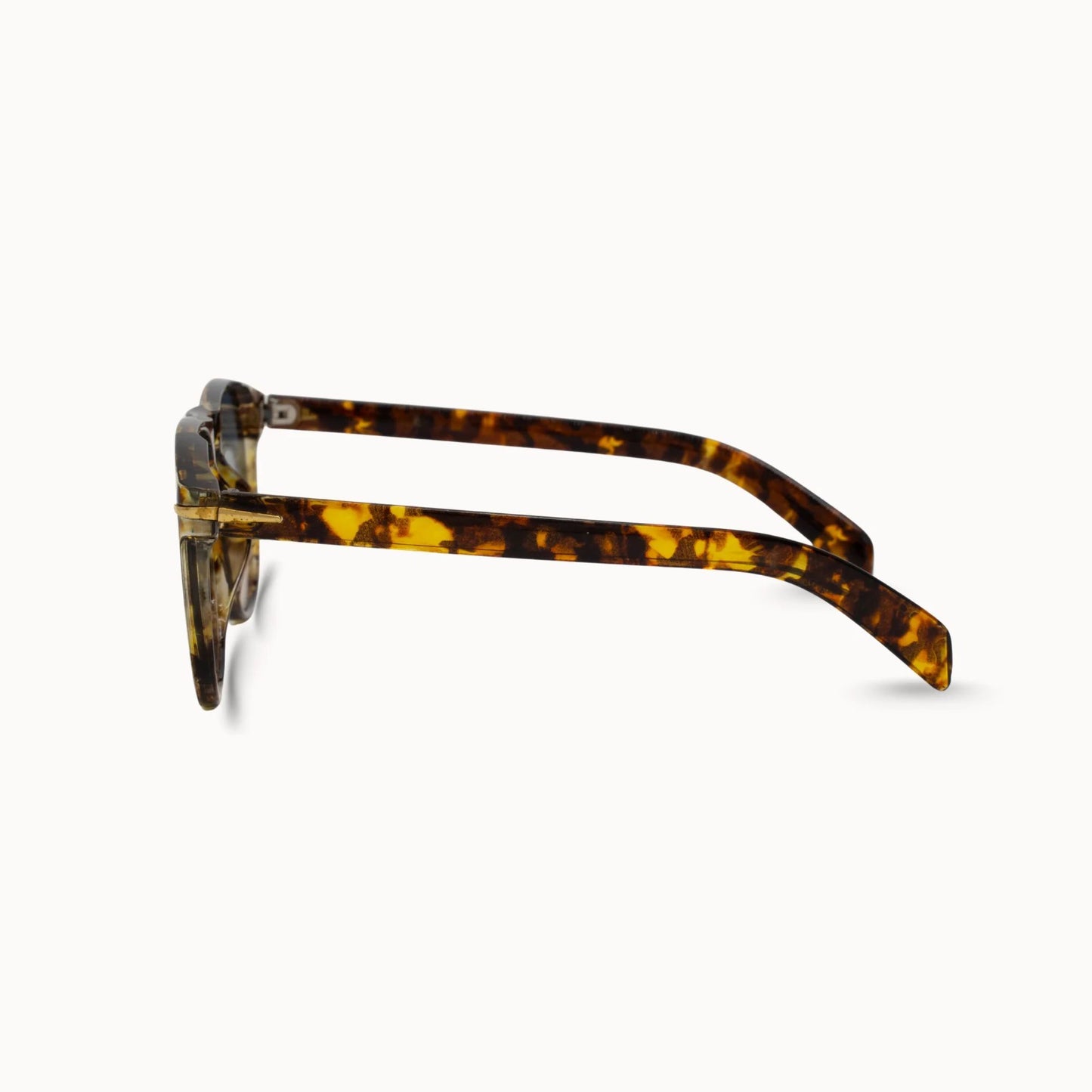 JAX Sunglasses by DAX Eyewear